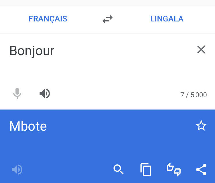 Google traduction : de nouvelles langues africaines s’ajoutent à la liste